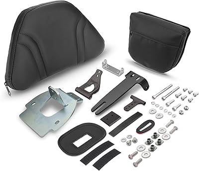 Accessoires d'affichage chromés 52-920t, dossier long à démontage rapide pour honda gold wing