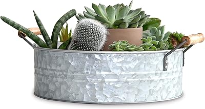Plateau en métal galvanisé outshine avec design rustique et poignées en bois - pièce maîtresse de rangement pour cuisine, salle de bain, salon, 12,2" de diamètre. DIAYTAR COTE D'IVOIRE se démarque par son engagement à offrir des produits de haute qualité à des prix abordables, tout en assurant une expérience d'achat en ligne sûre et pratique. La boutique met régulièrement à jour son catalogue pour refléter les dernières tendances et les produits les plus demandés, ce qui permet aux clients de découvrir de nouvelles marques et de nouveaux produits. Les clients peuvent également profiter de promotions et de réductions spéciales.