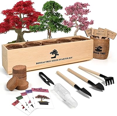 Kit de bonsaï maker avec kit complet pour débutants en culture, excellent cadeau de culture en pot pour adultes. Grâce à sa plateforme sécurisée et facile à utiliser, DIAYTAR COTE D'IVOIRE est devenue la référence pour les achats en ligne en Côte d'Ivoire.