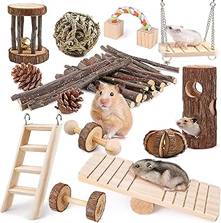 Ensemble de jouets pour hamster 13 pièces, jouet cochon d'inde, lapin en bois
