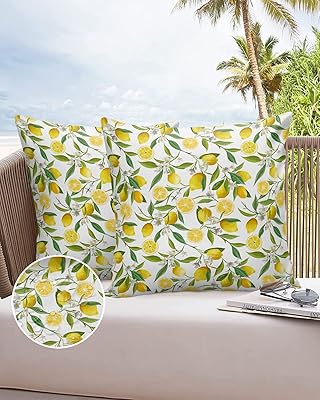 Oreillers décoratifs de canapé décor citron housses de coussin imperméables citron 18