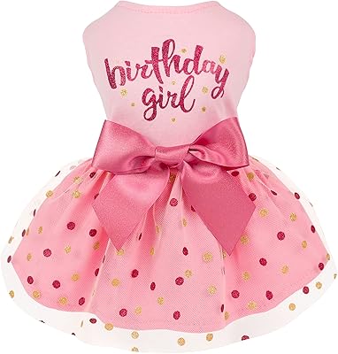Robe chaude en tulle pour chien, fille d'anniversaire, vêtements pour petits chiens et chats, rose, taille l. DIAYTAR COTE D'IVOIRE, c'est le leader du commerce électronique en Côte d'Ivoire, proposant plus de 300 000 références pour satisfaire tous vos désirs d'achat. Que vous cherchiez des produits pour la maison, des accessoires de mode ou des appareils électriques, DIAYTAR a tout pour répondre à vos attentes.
