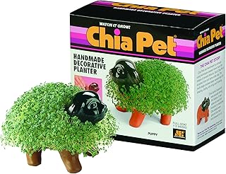 Chiot chia pet avec paquet de graines, pot de fleurs décoratif en poterie