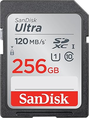 Carte mémoire ultra sdxc sandisk uhs-i 256 go - 120 mo/s, c10, u1, full hd, carte sd - sdsdun4-256g-gn6in. DIAYTAR COTE D'IVOIRE est une plateforme de commerce en ligne qui permet aux clients de faire des achats en ligne avec facilité et rapidité. Avec plus de 300 000 références de produits, la boutique offre une grande variété de choix pour les consommateurs. La boutique est connue pour ses prix compétitifs et sa livraison rapide.