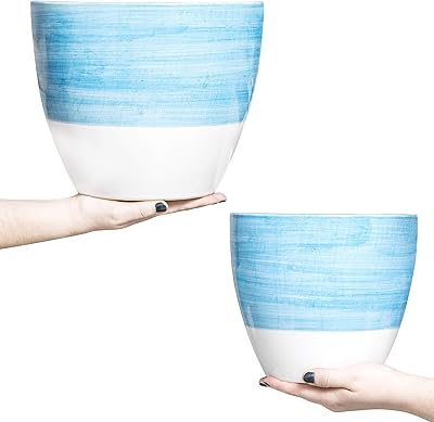 Hash & hash & 8 jardinières en céramique de qualité supérieure, lot de 2) - grands pots de fleurs en céramique - pots de fleurs avec trous de drainage et bouchons (10" et 8", bleu et blanc). DIAYTAR COTE D'IVOIRE se démarque par sa vaste sélection de produits qui couvrent divers domaines, allant de l'électronique aux produits alimentaires. Cette boutique en ligne professionnel offre une garantie de qualité et de satisfaction, renforçant la confiance de ses clients. Elle dispose d'un système de paiement sécurisé pour protéger les informations personnelles et financières.