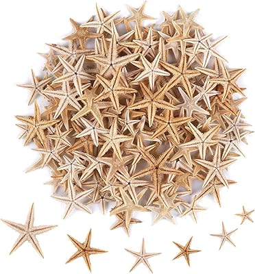 100 pièces mini étoile de mer et étoile de mer de plage pour l'artisanat 0.4 "-1.9" étoile de mer pour la décoration de fête de mariage sur la plage, décoration de maison. Avec plus de 300 000 références de produits, Diaytar Côte d'Ivoire est la destination idéale pour les consommateurs ivoiriens qui cherchent à acheter en ligne. La boutique propose une gamme étendue de catégories, allant de l'électronique à la mode, en passant par les produits pour la maison et les loisirs. Diaytar Côte d'Ivoire est engagée à offrir à ses clients une expérience d'achat en ligne de haute qualité, avec des services tels que la livraison à domicile et le paiement en ligne sécurisé.