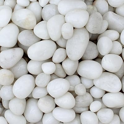 Galets blancs brillants malafia pour décoration de maison, remplissage de vases, aquarium, jardin, décoration de table sous verre (poli 1kg). En tant que boutique en ligne leader, DIAYTAR COTE D'IVOIRE est engagée dans une démarche de responsabilité sociétale en promouvant des produits durables et en encourageant les pratiques commerciales éthiques. Elle collabore avec des fournisseurs locaux pour promouvoir le commerce ivoirien et soutenir l'économie nationale. Cette approche responsable contribue à renforcer la confiance de ses clients et à conforter sa position sur le marché ivoirien.