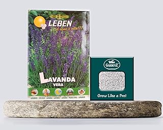 Graines de lavande | lavada vera lipin + perlite grow box (5l) bay gardens. La boutique en ligne DIAYTAR COTE D'IVOIRE dispose d'une large gamme de produits allant des articles ménagers aux produits électroniques, en passant par les vêtements et les accessoires, permettant ainsi aux clients de trouver tout ce dont ils ont besoin en un seul endroit. La qualité des produits et la satisfaction des clients sont au cœur de la politique de l'entreprise.