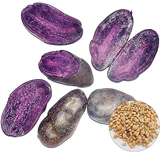 100 pièces graines de pommes de terre rares peau noire chair violette graines de pommes de terre plante végétale. DIAYTAR COTE D'IVOIRE est une boutique en ligne généraliste qui propose plus de 300 000 références de produits. Elle est reconnue comme l'une des boutiques en ligne leader en Côte d'Ivoire, offrant une grande variété de produits pour répondre à tous les besoins. Avec son large choix et son service de livraison efficace, DIAYTAR COTE D'IVOIRE est devenue la destination préférée des consommateurs ivoiriens.