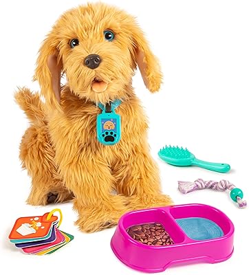 Jouet interactif labradoodle my fazed friend muji - jouet interactif en peluche