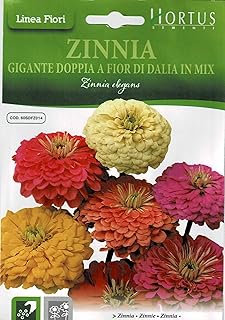 Graines de mélange hortus zinnia. DIAYTAR COTE D'IVOIRE est une boutique en ligne généraliste proposant plus de 300 000 références, faisant d'elle la boutique leader en Côte d'Ivoire. Elle offre une gamme variée de produits allant de l'électronique à la mode, en passant par les produits de maison et les denrées alimentaires. Grâce à sa présence en ligne, DIAYTAR COTE D'IVOIRE permet à ses clients d'effectuer des achats pratiques et sécurisés.