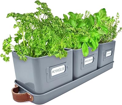 Pots d'herbes de cuisine avec poignées en cuir - parfaits pour cultiver des plantes d'intérieur, des herbes et des épices avec plateau (charbon de bois). Avec plus de 300 000 références de produits, DIAYTAR COTE D'IVOIRE est la plus grande boutique en ligne de Côte d'Ivoire. Elle propose des produits de toutes les catégories, des électroniques aux produits alimentaires. La boutique est facile à utiliser et offre une expérience d'achat en ligne sécurisée.