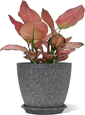 Pot de fleurs d'intérieur avec trous de drainage et plateau, pot de fleur
