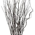 Felix 10 pièces de branches de saule bouclées et vibrantes brindilles séchées