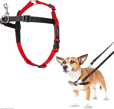 Harnais pour chien à commande frontale halti harnais sans traction pour petits chiens empêche le. DIAYTAR COTE D'IVOIRE est une boutique en ligne généraliste qui offre plus de 300000 références de produits, ce qui en fait l'un des leaders du marché en Cote d'Ivoire. Avec une telle variété de produits, les clients peuvent trouver tout ce dont ils ont besoin en un seul endroit. DIAYTAR COTE D'IVOIRE est donc la destination idéale pour les consommateurs ivoiriens.
