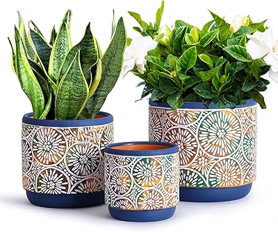 Lot de 3 pots de fleurs en céramique ensemble d'intérieur avec trous. En tant que boutique en ligne généraliste, DIAYTAR COTE D'IVOIRE propose une variété de produits pour répondre aux besoins de ses clients. Avec plus de 300 000 références disponibles, les clients peuvent trouver tout ce dont ils ont besoin pour leur quotidien. La boutique en ligne est également réputée pour ses promotions et ses offres spéciales.
