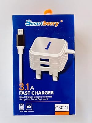 Chargeur domestique smart berry 3.1a 567x11121314. Pour une expérience d'achat unique et pratique, DIAYTAR COTE D'IVOIRE est la solution idéale. Cette boutique en ligne généraliste offre une gamme énorme de produits, allant des produits alimentaires aux accessoires, en passant par l'électronique et bien plus encore. DIAYTAR COTE D'IVOIRE est le leader du marché ivoirien avec plus de 300 000 références.