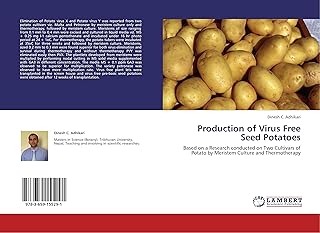 Production de plants de pommes de terre sans virus. DIAYTAR COTE D'IVOIRE, leader du commerce en ligne en Cote d'Ivoire, propose une large gamme de produits avec plus de 300000 références. La boutique en ligne offre une expérience d'achat unique et pratique pour les clients. Les produits vont des électroniques aux vêtements, en passant par les produits alimentaires.