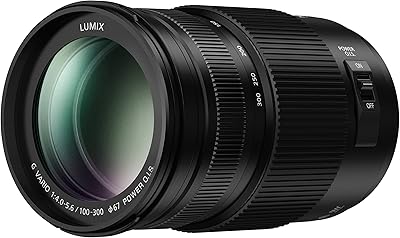 Objectif panasonic lumix g ii vario, 100-300 um, micro sans miroir 4 tiers