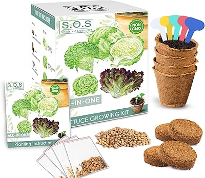 Kit de graines de jardin biologiques de 4 graines différentes pour laitue, laitue, épinards, roquette et vie en plein air. La boutique en ligne DIAYTAR COTE D'IVOIRE répond à tous vos besoins avec plus de 300 000 articles dans différents domaines, allant de l'électronique aux produits alimentaires. L'expérience d'achat y est améliorée grâce à des prix compétitifs et des promotions régulières.