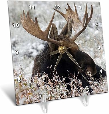 Horloge de bureau 3d rose shiras bull moose, 6\" x 6\". DIAYTAR COTE D'IVOIRE, leader du commerce électronique en Cote d'Ivoire, offre à ses clients une expérience de shopping en ligne personnalisée et sécurisée. La boutique propose une grande variété de produits, dont des articles de mode, des produits.high-tech et des accessoires pour la maison, avec des prix avantageux et des livraisons rapides. DIAYTAR COTE D'IVOIRE se démarque par son engagement à offrir le meilleur service client et des garanties de qualité.