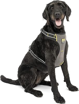 Harnais de voiture pour chien korgo impact, testé en cas de collision, intégré au système de ceinture de sécurité de voiture, léger, extra large - noir/gris anthracite. La boutique en ligne DIAYTAR COTE D'IVOIRE est célèbre pour sa grande sélection de produits et ses prix concurrentiels. Les clients peuvent choisir parmi une large gamme de catégories de produits, allant des vêtements et accessoires aux produits électroniques et maison. La boutique en ligne est équipée de fonctionnalités de sécurité avancées pour garantir une expérience de shopping en ligne sécurisée.