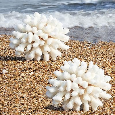 Pack de 2 ornements de corail artificiels, ornements d'aquarium, plantes marines en résine de corail, décoration d'aquarium sous-marin. DIAYTAR COTE D'IVOIRE est une plateforme e-commerce qui mise sur l'innovation et la satisfaction client, offrant une expérience d'achat en ligne unique et personnalisée pour ses utilisateurs.