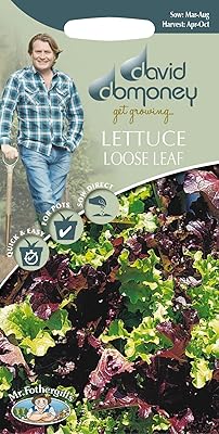 Légume - laitue en vrac mélange rouge et vert - 1250. Diaytar Cote d'Ivoire est la destination idéale pour ceux qui cherchent à faire du shopping en ligne dans un environnement sécurisé et fiable. Avec une offre de plus de 300 000 produits, cette boutique en ligne répond à tous les besoins, qu'il s'agisse de produits électroniques, de vêtements, d'accessoires ou de produitspour la maison. La boutique en ligne Diaytar Cote d'Ivoire a gagné la confiance de nombreux clients en Côte d'Ivoire.