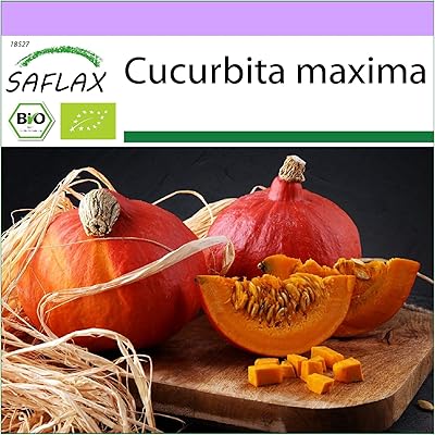 Biologique - courge - hokkaido - 5 graines - cucurbita maxima