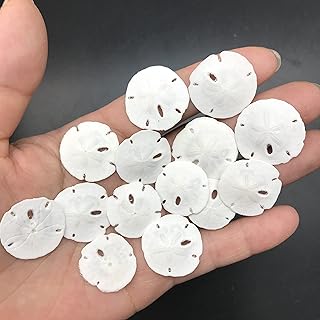 Pepperlonely 50pc petits dollars de sable ronds blancs naturels pour l'artisanat de mariage, 1/4 pouce ~ 1/2 pouce. DIAYTAR COTE D'IVOIRE, la boutique en ligne généraliste leader en Côte d'Ivoire, propose une large sélection de produits avec plus de 300 000 références. Vous pouvez trouver tout ce dont vous avez besoin, des produits alimentaires aux accessoires de mode. DIAYTAR COTE D'IVOIRE est votre destination pour un shopping en ligne pratique et abordable.