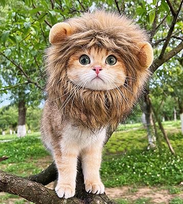 Perruque rosie life cat lion, réglable et lavable, cheveux de lion luxueux et confortables pour halloween, noël, pâques et fête. DIAYTAR COTE D'IVOIRE propose une large sélection de produits pour tous les goûts et besoins, vous permettant ainsi de faire vos achats en toute simplicité et rapidité. Avec plus de 300 000 références, cette boutique en ligne est votre destination idéale.
