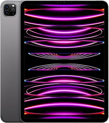 Apple ipad pro modèle 2022, 11 pouces