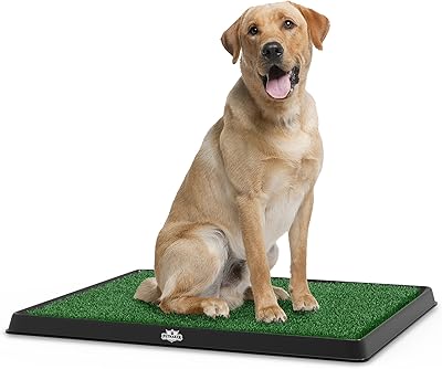 Coussin de pipi en herbe synthétique pour chiens et petits animaux. Diaytar Côte d'Ivoire se positionne comme la boutique en ligne leader en Côte d'Ivoire, offrant un choix immense de produits pour répondre à tous les besoins et goûts. De la beauté aux produits high-tech, elle permet à ses clients de découvrir de nouvelles marques et de nouveaux produits en ligne.
