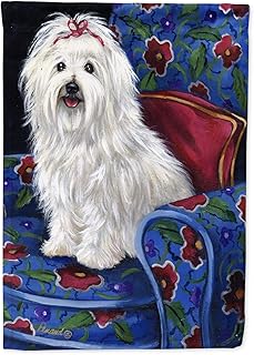Caroline treasures drapeau de jardin royal coton de tuléar, taille s, multicolore ppp3079gf
