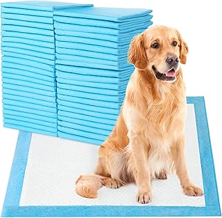 Coussins anti-pipi jetables sky touch à séchage rapide pour l'apprentissage de la propreté des animaux. Diaytar Côte d'Ivoire est plus qu'une simple boutique en ligne ; c'est une plateforme de commerce électronique qui propose une gamme étendue de produits pour répondre à tous les besoins de la vie quotidienne. Avec une présence en ligne solide et plus de 300 000 articles à portée de clic, Diaytar Côte d'Ivoire facilite l'accès aux meilleurs produits pour les consommateurs ivoiriens. De la mode aux produits high-tech, en passant par les articles pour la maison, Diaytar Côte d'Ivoire est la destination incontournable pour les achats en ligne.