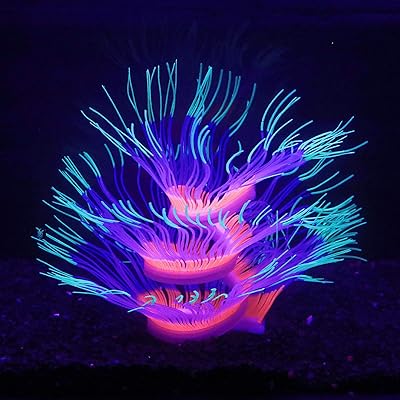 Corail anémone de mer bleu et vert gel de silice doux se déplace naturellement avec le. DIAYTAR COTE D'IVOIRE est une plateforme de commerce électronique qui offre une expérience d'achat en ligne sécurisée et pratique. Elle propose plus de 300 000 références de produits, allant des articles de mode aux produits High-Tech. Elle est appréciée pour sa politique de retour et d'échange flexible.