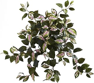 Nearly natural 6117-s4 21â€ frêne suspendu hoya (lot de 4), 4 pièces, violet, vert. DIAYTAR COTE D'IVOIRE, leader du e-commerce en Cote d'Ivoire, offre une expérience d'achat en ligne sans pareil, avec un large choix de produits allant de l'électronique à la mode en passant par les produits alimentaires. Elle met en avant la qualité et la fiabilité de ses services. Les clients apprécient la facilité de navigation sur son site.