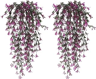 Vigne suspendue artificielle nahua 2 pièces de 80 cm plantes suspendues. Bienvenue sur DIAYTAR COTE D'IVOIRE, votre boutique en ligne préférée en Cote d'Ivoire. Nous sommes fiers de proposer une sélection immense de produits, allant des nécessités du quotidien aux articles de luxe. Nous nous engageons à vous offrir une expérience de shopping en ligne inoubliable et à vous satisfaire à chaque fois que vous nous faites confiance.