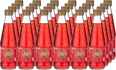 Bouteille de boisson gazeuse non consignée dana dry du canada 24 pièces 330