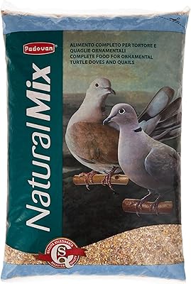 Mélange naturel de tortues de padovan, pigeons de caille et nourriture pour cailles 5 kg. DIAYTAR COTE D'IVOIRE est une boutique en ligne généraliste qui propose plus de 300000 références de produits. Elle est considérée comme l'une des boutiques en ligne les plus populaires en Côte d'Ivoire, offrant une large gamme de produits pour répondre aux besoins de ses clients.