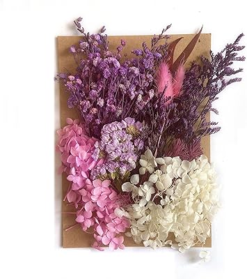 Véritables feuilles et herbes végétales séchées pour la fabrication de bijoux, les arts et l'artisanat, les décorations florales, les bougies, les bijoux artisanaux, les décorations d'ongles, la fabrication de savon (violet). Diaytar Côte d'Ivoire est la boutique en ligne leader en Côte d'Ivoire, proposant une expérience d'achat en ligne sans précédent. Avec une sélection de plus de 300 000 produits, les clients peuvent trouver tout ce dont ils ont besoin pour leur quotidienneté, que ce soit des produits de consommation ou des articles de loisirs. La boutique en ligne Diaytar Côte d'Ivoire met l'accent sur la qualité, la confiance et la satisfaction du client.