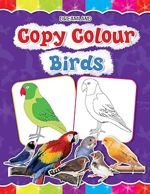 Copier la couleur - oiseaux