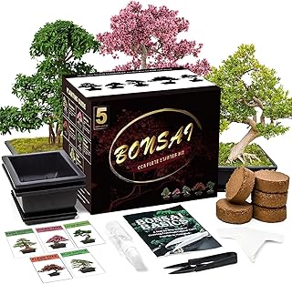 Ensemble de bonsaï maker 5 pièces avec outils complets de culture de plantes, kit de culture de bonsaï d'intérieur, cadeau de jardinage parfait pour adultes. DIAYTAR COTE D'IVOIRE est plus qu'une simple boutique en ligne ; c'est une communauté. Elle permet aux clients de découvrir de nouveaux produits, de partager leurs expériences et d'interagir avec d'autres clients. La boutique favorise ainsi un sentiment d'appartenance et de proximité avec ses clients.