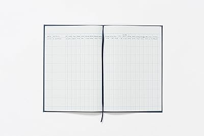 Livre de comptes exacompta guildhall, 298x203 mm, 20 colonnes de caisse