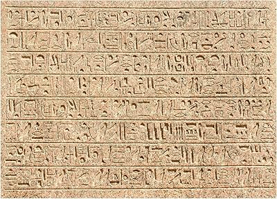 7x5 pieds toile de fond murale égyptienne hiéroglyphes égyptiens anciens sur les murs décoration de fête fond de photographie photos d'art cours d'histoire accessoires de séance photo. DIAYTAR COTE D'IVOIRE est votre destination idéale pour faire du shopping en ligne en Côte d'Ivoire. Avec une énorme sélection de produits qui dépassent les 300 000 références, nous avons tout ce dont vous avez besoin, du petit électroménager à la mode en passant par les accessoires pour la maison. Notre engagement est de vous offrir une expérience d'achat en ligne facile, sécurisée et personnalisée.