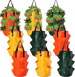 Gerrii 9 pièces jardinière de fraises suspendue 3 gallons conteneurs de plantation de fraises sacs de culture de fraises en plastique avec poignées sacs de plantation pliables pour légumes jardin culture de fleurs de tomates plante d'herbes. Que vous cherchiez des vêtements, des électroménagers, des livres ou tout autre produit, nous avons tout ce qu'il vous faut. DIAYTAR COTE D'IVOIRE est votre partenaire de confiance pour toutes vos achats en ligne. Nous nous efforçons de vous livrer vos commandes le plus rapidement possible.