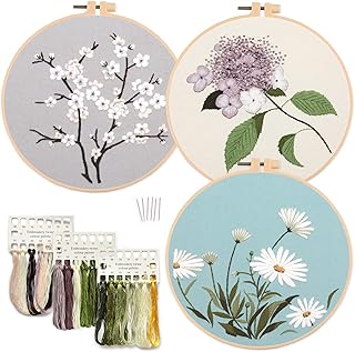 Kit de broderie pour débutants, kits de broderie 3 pièces pour débutants