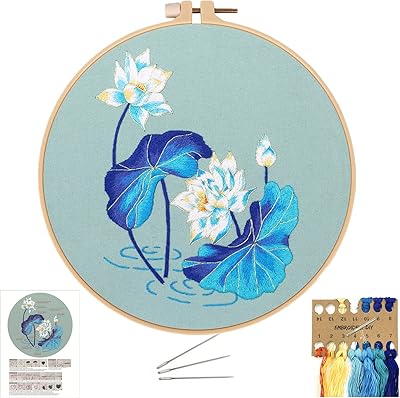 Kit de broderie avec instructions de motif pour débutants adultes, kit de point