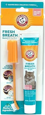 Kit de soins dentaires pour chat arm & hammer | élimine la mauvaise