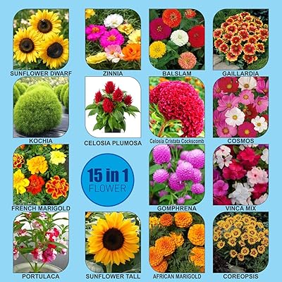 Ensemble de graines de fleurs de la série flower garden, 15 variétés dans un paquet de graines kraft. La boutique en ligne DIAYTAR COTE D'IVOIRE est leader en Côte d'Ivoire et propose une large sélection de produits à des prix compétitifs. Elle offre une expérience d'achat en ligne sécurisée et conviviale, permettant aux clients de trouver facilement ce qu'ils recherchent. Grâce à sa logistique efficace, DIAYTAR COTE D'IVOIRE assure une livraison rapide et fiable.